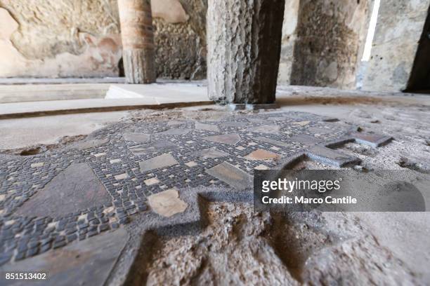 The mosaic floor inside the Championnet complex, one of the new environments restored in the archaeological excavations of Pompeii.