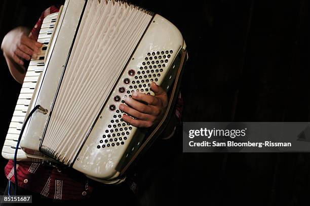 man playing the accordion - accordionist - fotografias e filmes do acervo