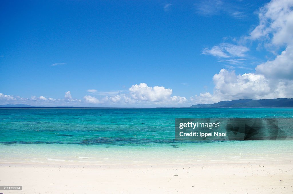 Clear blue tropical waters of Okinawa