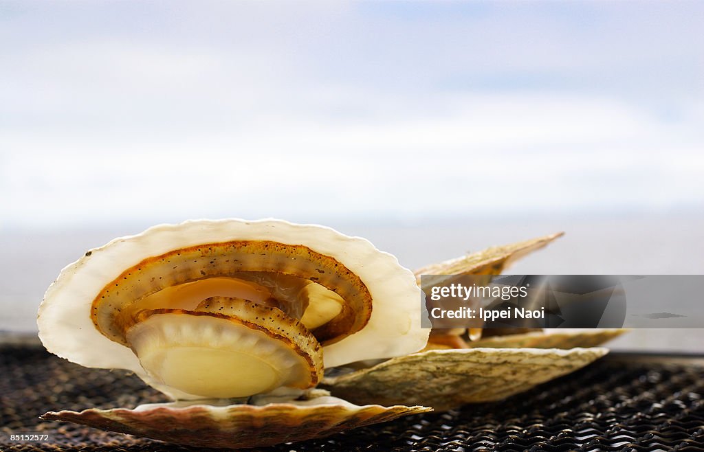 Fresh scallop on BBQ by the sea