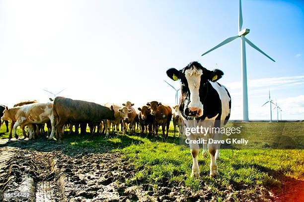 modern irish farming - sustainable resources stock pictures, royalty-free photos & images