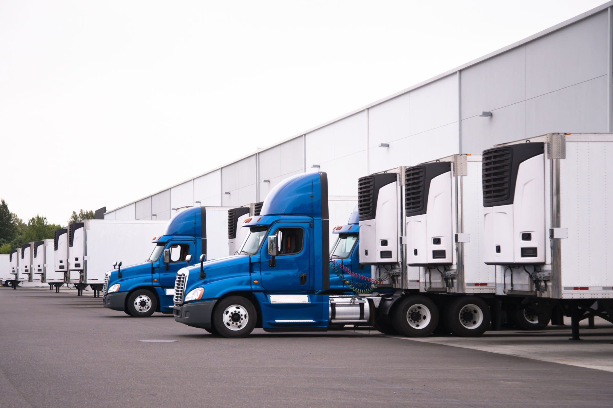 logistics refrigeration