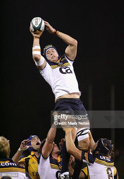 Mark Chisholm of the Brumbies wins a line out during the round three Super 14 match between the Brumbies and the Western Force at Canberra Stadium on...