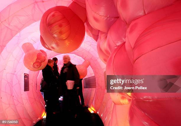 Visitors walk through a giant 20 metre long plastic bowel on February 28, 2009 in Hamburg, Germany. The bowel is part of a cancer campaign of the...