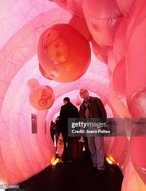 Visitors walk through a giant 20 metre long plastic bowel on February 28, 2009 in Hamburg, Germany. The bowel is part of a cancer campaign of the...
