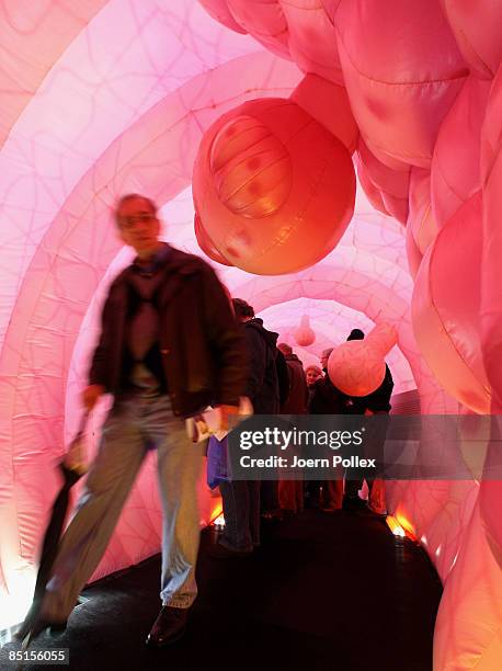 Visitors walk through a giant 20 metre long plastic bowel on February 28, 2009 in Hamburg, Germany. The bowel is part of a cancer campaign of the...