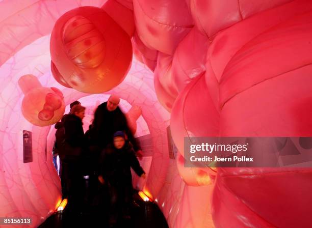 Visitors walk through a giant 20 metre long plastic bowel on February 28, 2009 in Hamburg, Germany. The bowel is part of a cancer campaign of the...