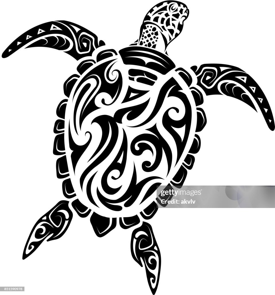 Maori Style Turtle Tattoo High-Res Vector Graphic - Getty Images