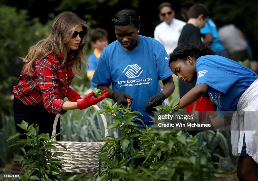 First Lady Melania Trump Holds White House Garden Event