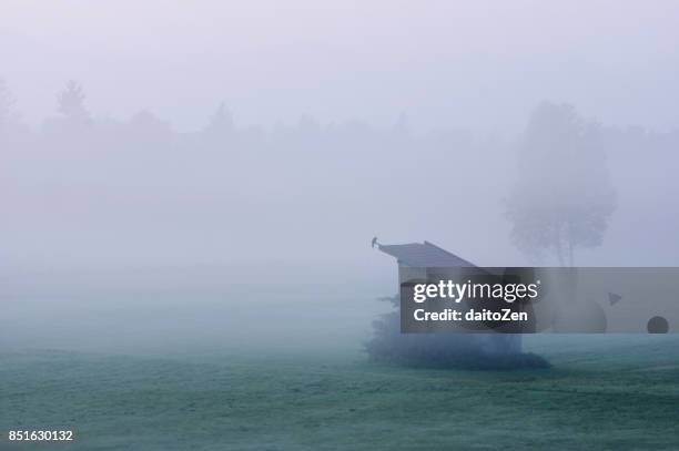 rural scene with hay barn in early morning fog, lake ammersee region, raisting, upper bavaria, germany - raisting stock-fotos und bilder