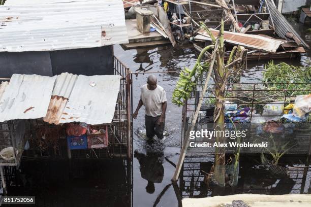 Resident wades through flood water days after Hurricane Maria made landfall, on September 22, 2017 in Loiza, Puerto Rico. Many on the island have...