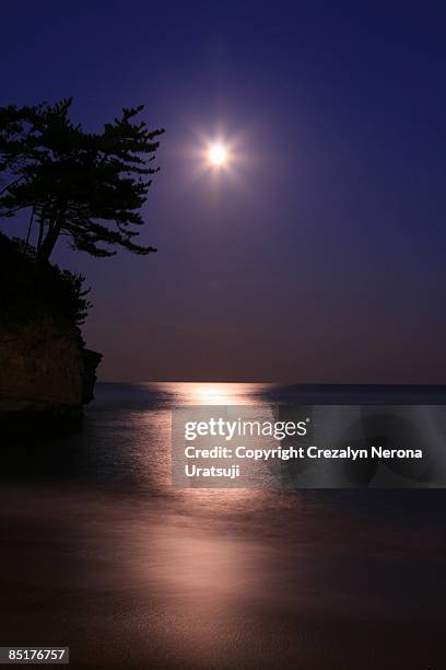 moonlight (cormorant point) - ibaraki prefecture photos et images de collection