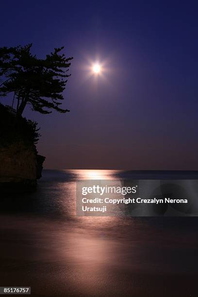 moonlight (cormorant point) - hitachi ibaraki stock pictures, royalty-free photos & images