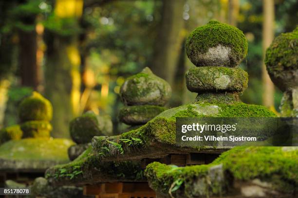 shinto shrine stone lantern covered in moss - shrine ストックフォトと画像