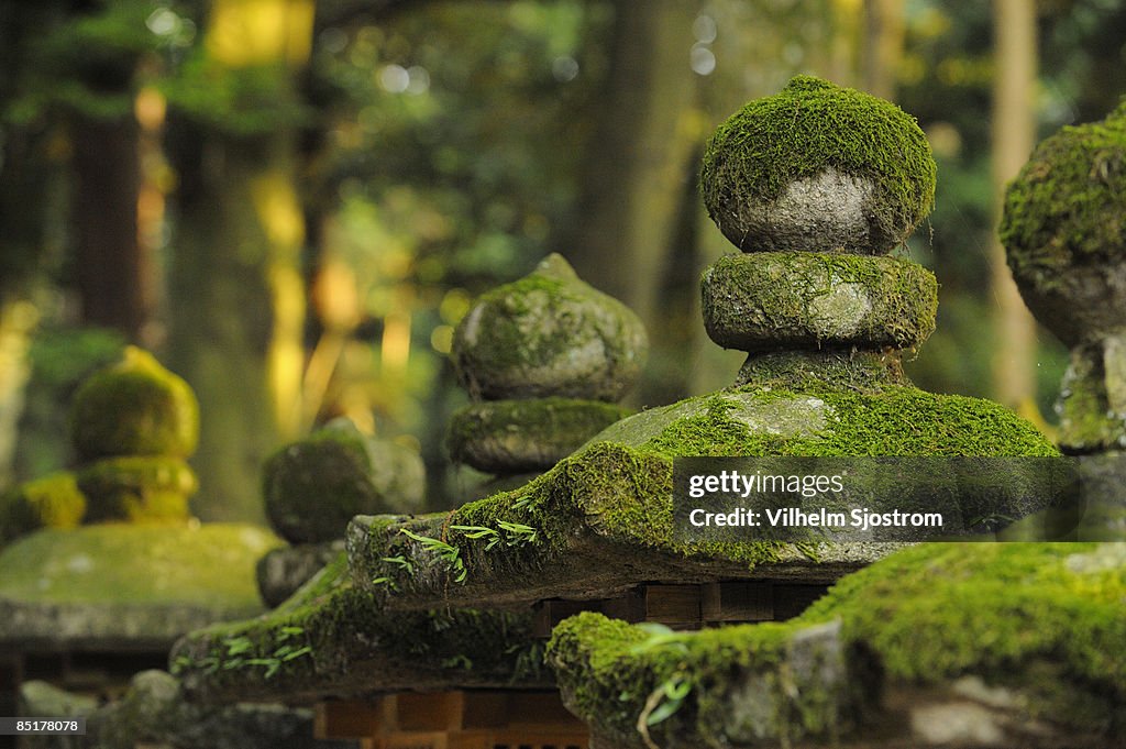 Shinto shrine stone lantern covered in moss