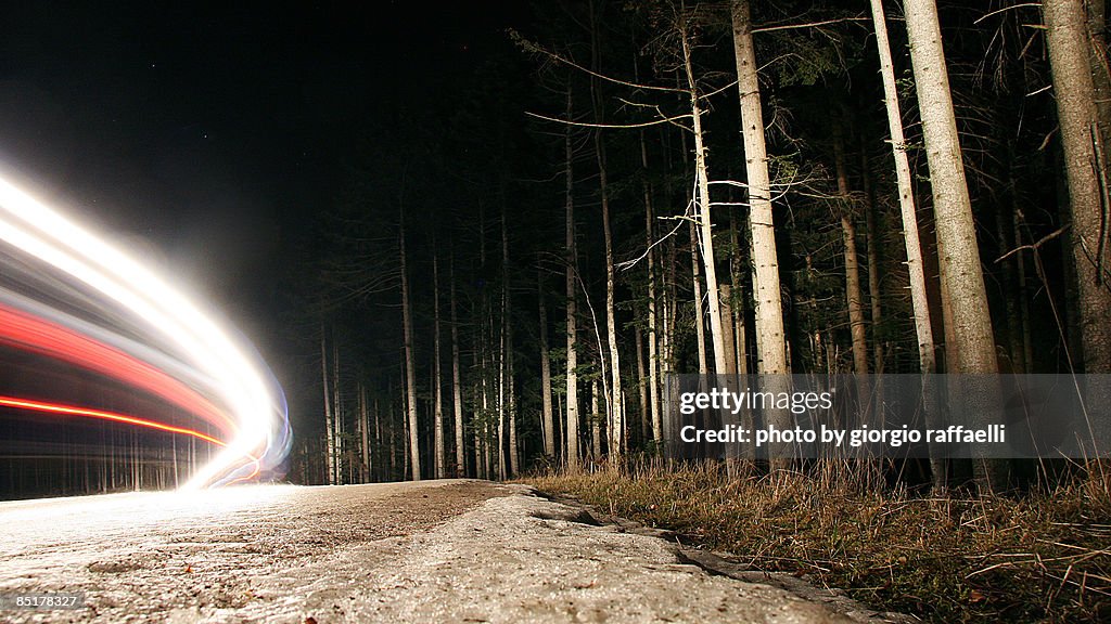 Moving Lights in the Frozen Wood