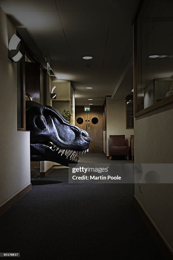 T-REX head poking into office  corridor