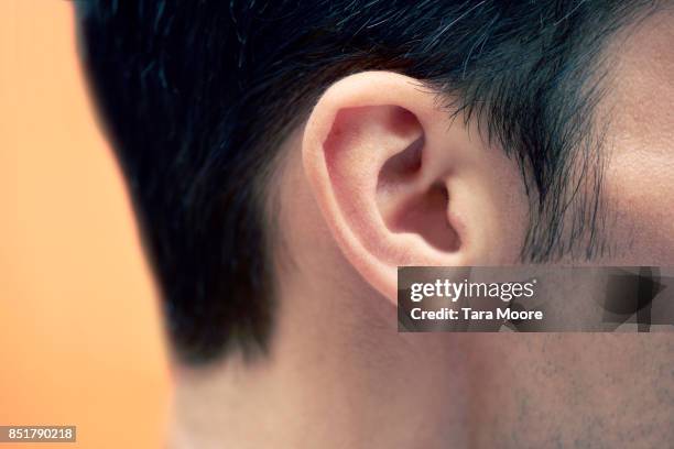 closeup of man's ear - ears photos et images de collection