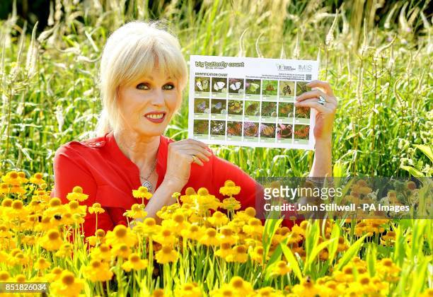 Actress Joanna Lumley holds a Marks and Spencer sponsored Big Butterfly Count chart, which they hope customers will take away from 20th July until...