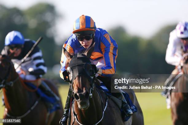 Wonderfully ridden by Joseph O'Brien races home in the Silver Flash Stakes at Leopardstown Racecourse, Dublin, Ireland.
