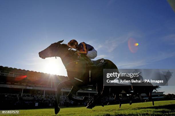 Wonderfully ridden by Joseph O'Brien races home in the Silver Flash Stakes at Leopardstown Racecourse, Dublin, Ireland.