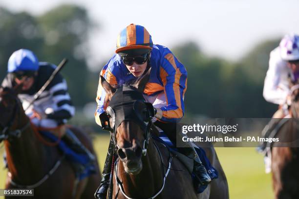 Wonderfully ridden by Joseph O'Brien races home in the Silver Flash Stakes at Leopardstown Racecourse, Dublin, Ireland.