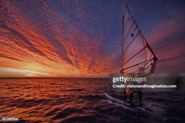 surfer at sunset - windsurfing stock pictures, royalty-free photos & images