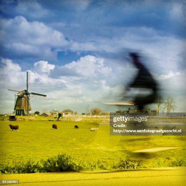 dutch windmill - haarlemmermeer stock pictures, royalty-free photos & images