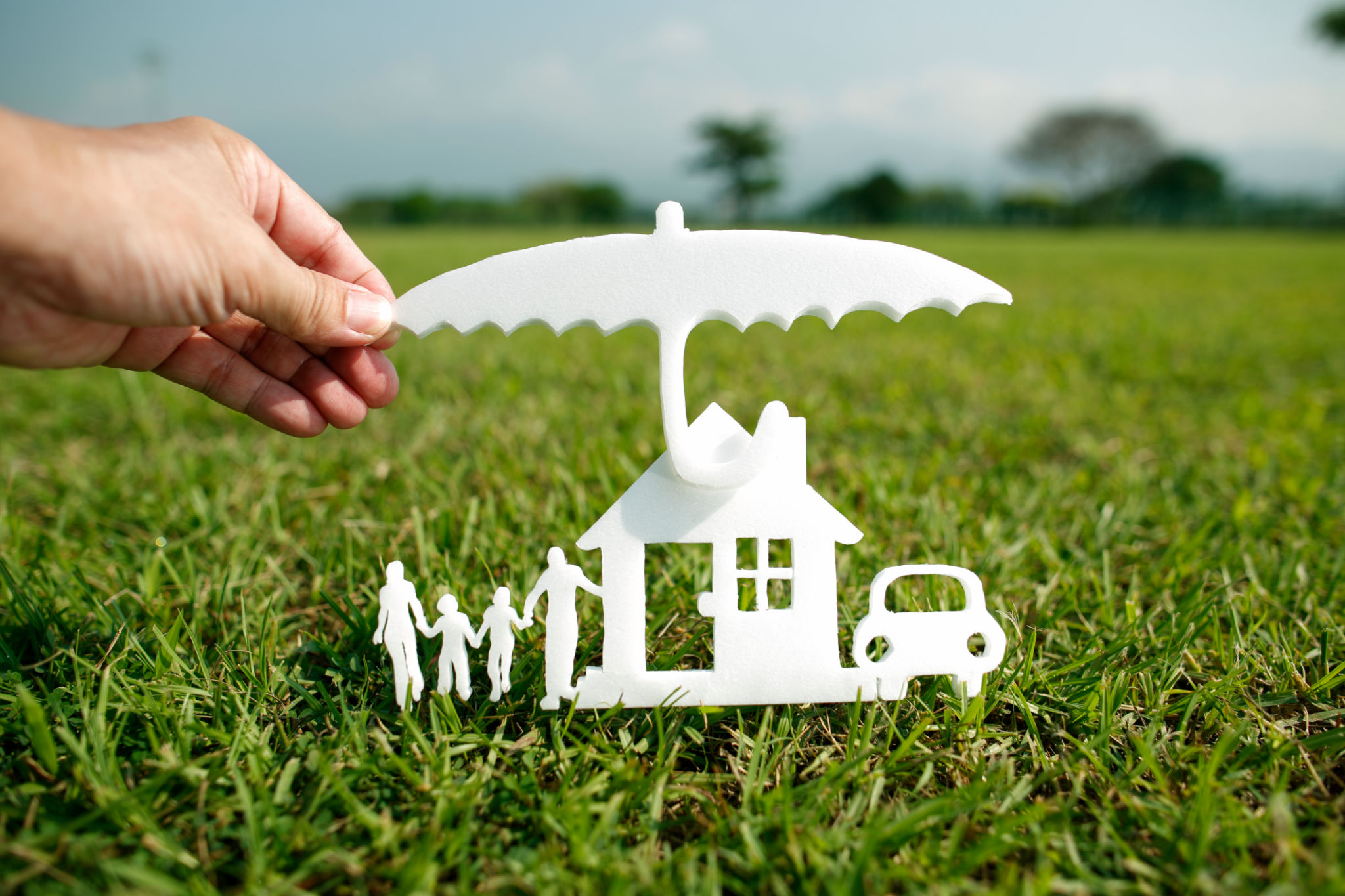 Protection of the family property Protection of the family property