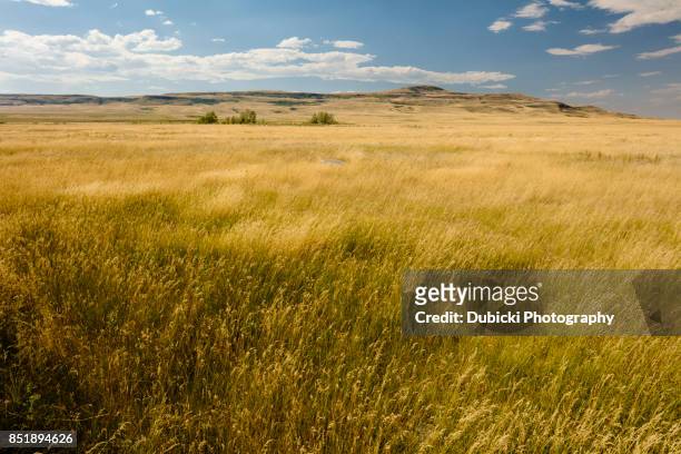prairie and foothills - プレーリー ストックフォトと画像