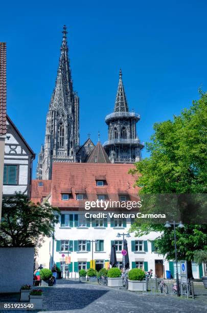 ulm minster in the old town (ulmer münster), germany - ulm minster stock pictures, royalty-free photos & images