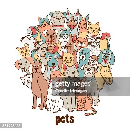 Group Of Various Pets High-Res Vector Graphic - Getty Images