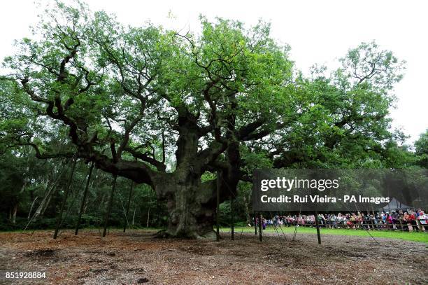 Friar Tuck at Sherwood Forest National Nature Reserve, Edwinstowe, Nottinghamshire.