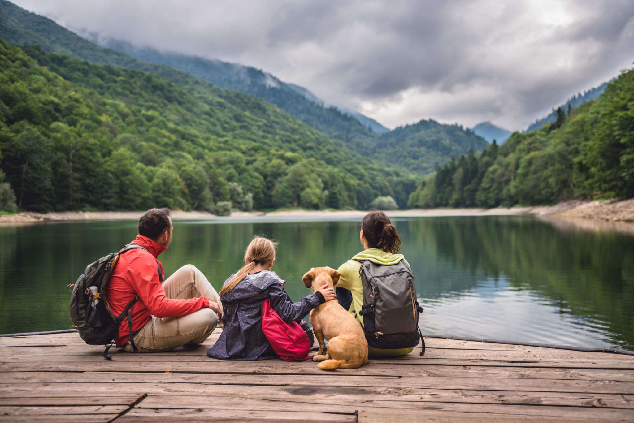 dog outdoor adventure