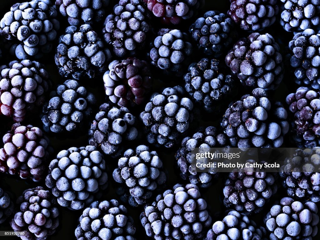 Frozen Blackberries