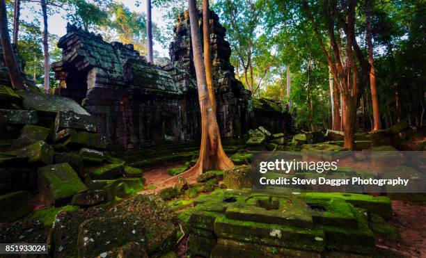 175 Ta Nei Stock Photos, HighRes Pictures, and Images Getty Images