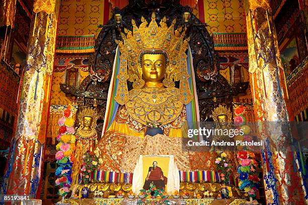buddha statue in tibetan temple - contea di shangri la foto e immagini stock