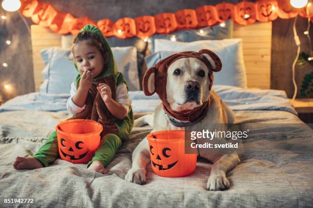 little dinosaur in action - halloween dog stock pictures, royalty-free photos & images