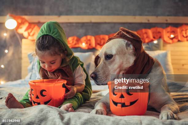 i smell some chocolate - trick or treat stock pictures, royalty-free photos & images