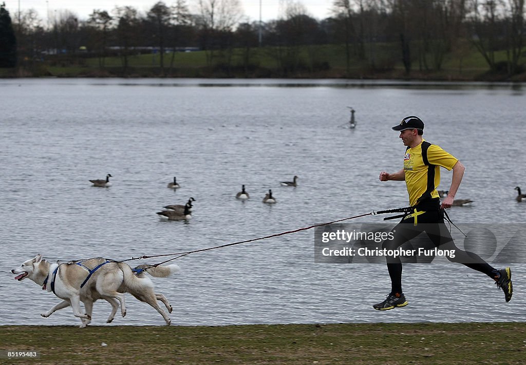 Crufts Prepare For The Start Of Annual Competition