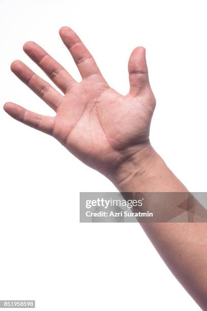 Isolated Hand 10,693 Male Hand Gesture Isolated Stock Photos, High-Res Pictures, and ...