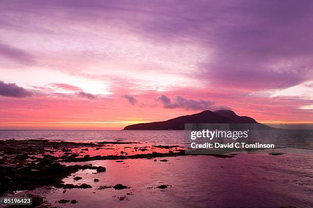 view to holy isle at dawn, arran, scotland - scottish coastline stock pictures, royalty-free photos & images