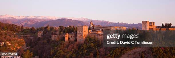 view to the alhambra at sunset, granada, spain - alhambra foto e immagini stock