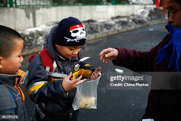 Child buys a chick from a vendor outside a primary school on March 3, 2009 in Changchun of Jilin Province, China. Chickens are popular pets with...