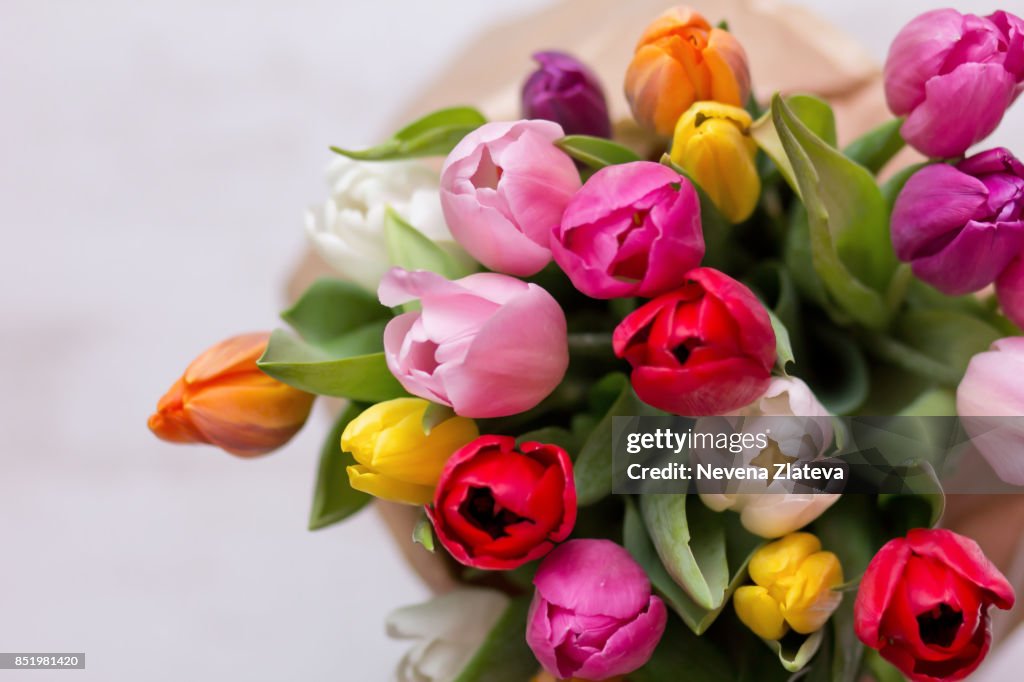 Tulips