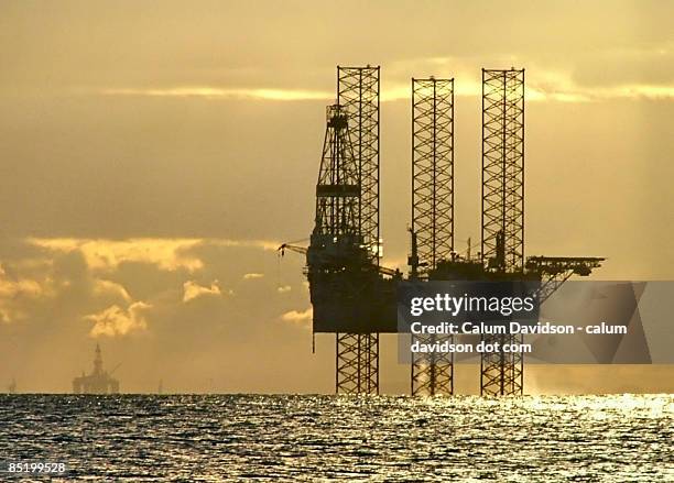 Ross Rig 1,714 Ross Davidson Stock Photos, High-Res Pictures, and Images - Getty ...