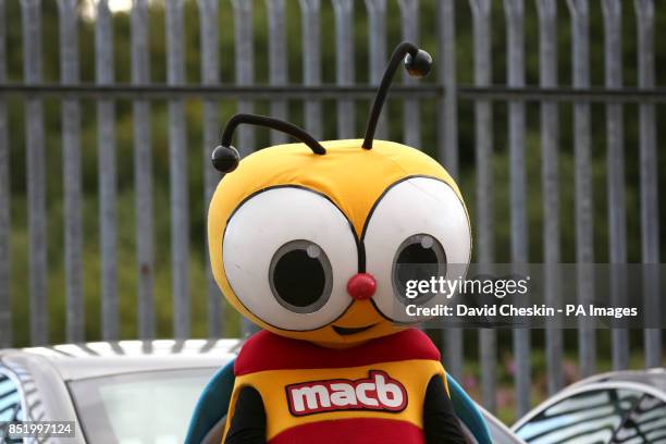 Partick Thistle mascot Jaggy MacBee