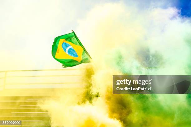 juichende multi-etnische spel aanhangers - a brazil supporter stockfoto's en -beelden