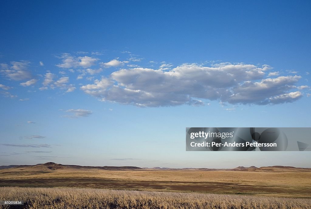 Namibia Safari