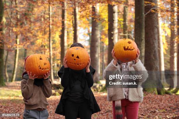 children covering their faces with carved pumpkins. - 雕刻品 個照片及圖片檔